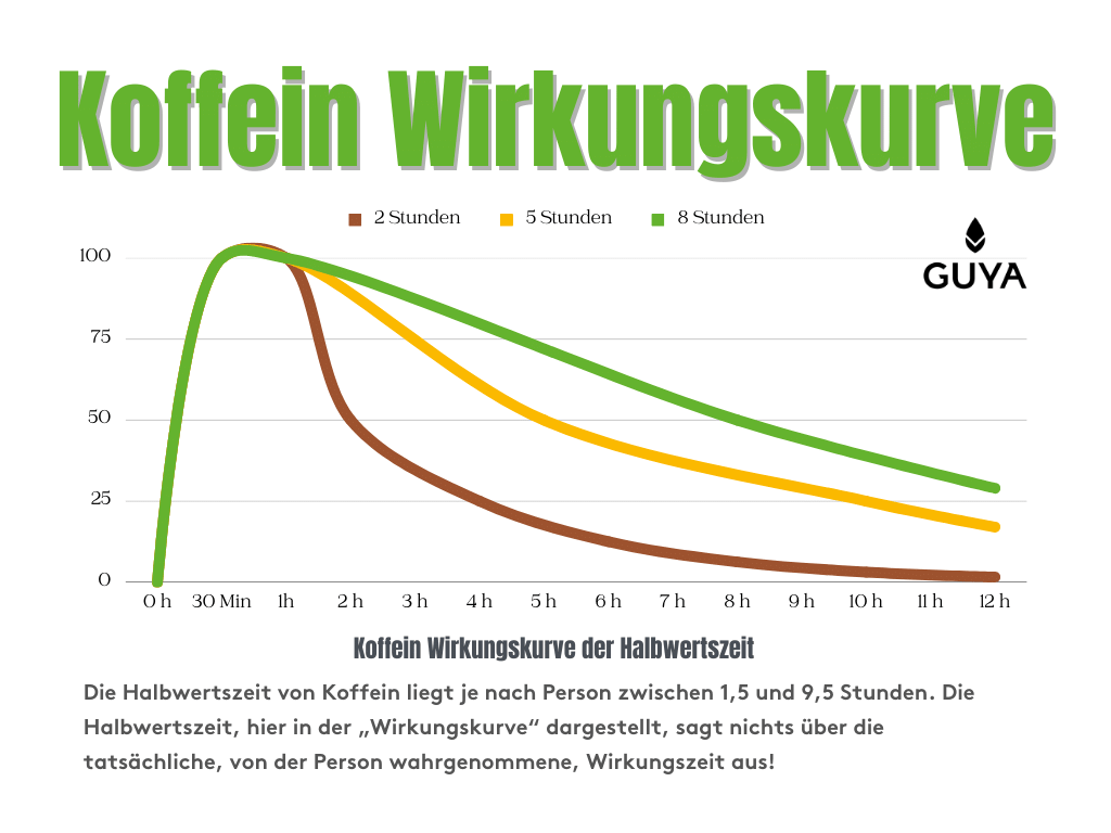 Caffeine impact curve detailed