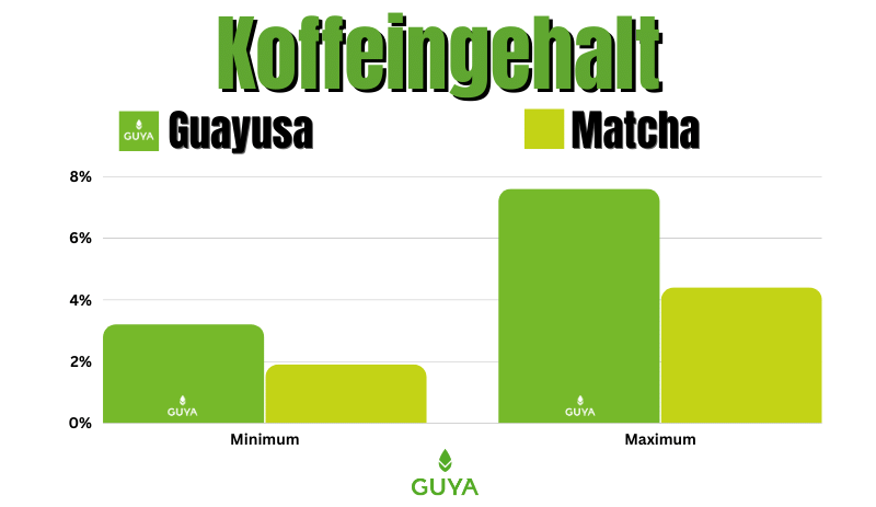 Koffeingehalt Matcha VS Guayusa