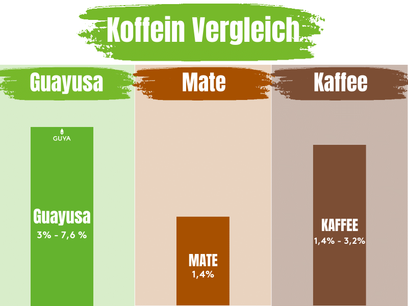 Comparison of yerba mate tea and Guayusa tea