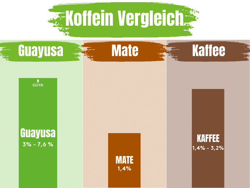 Vergleich Yerba Mate Tee und Guayusa Tee