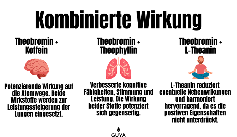 Kombinierte Wirkung mit Theophyllin, Koffein und L-Theanin