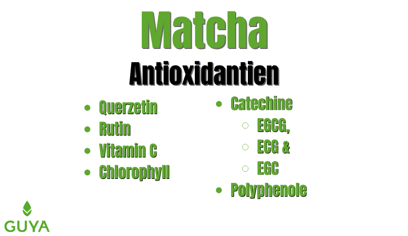 Matcha Antioxidants EGCG, EGC, ECG