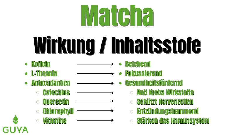 Matcha Tee Wirkung und Matcha Inhaltsstoffe