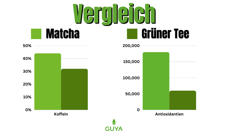 Matcha vs green tea caffeine antioxidant comparison