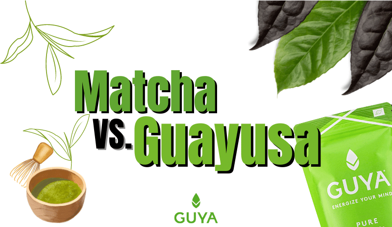 Matcha VS Guayusa