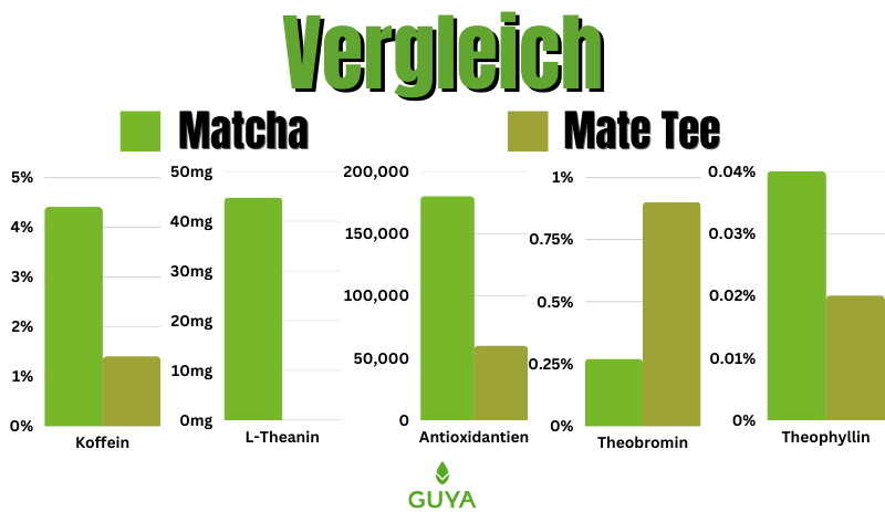 Matcha VS Mate Vergleich Inhaltsstoffe