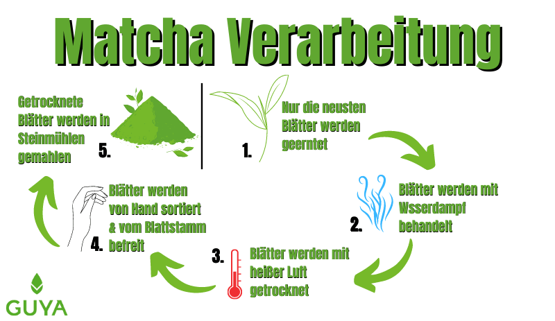 Matcha Verarbeitung