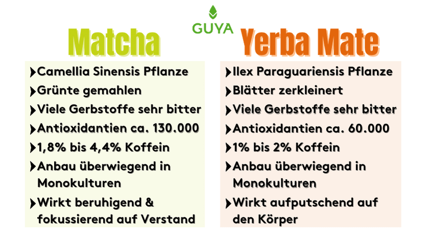 Mate tea VS Matcha tea comparison