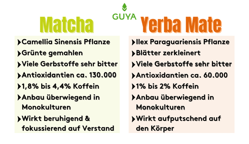 Mate Tee VS Matcha Tee Vergleich