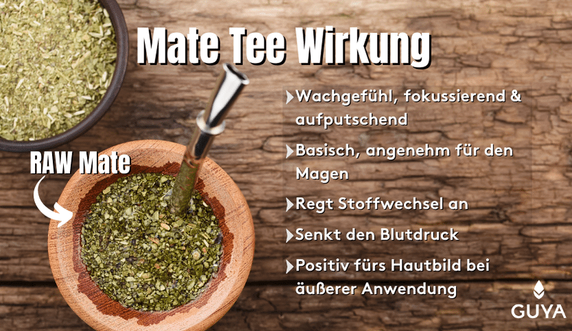 Mate Tee Wirkung Blutdruck, Haut, Abnehmen, Koffein - Wie wirkt Mate Tee.png