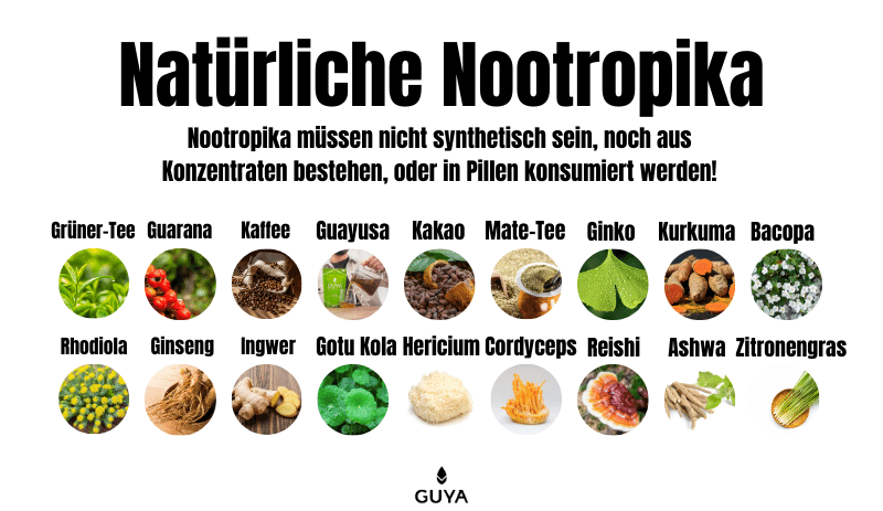 Natural Nootropics Nootropics Overview