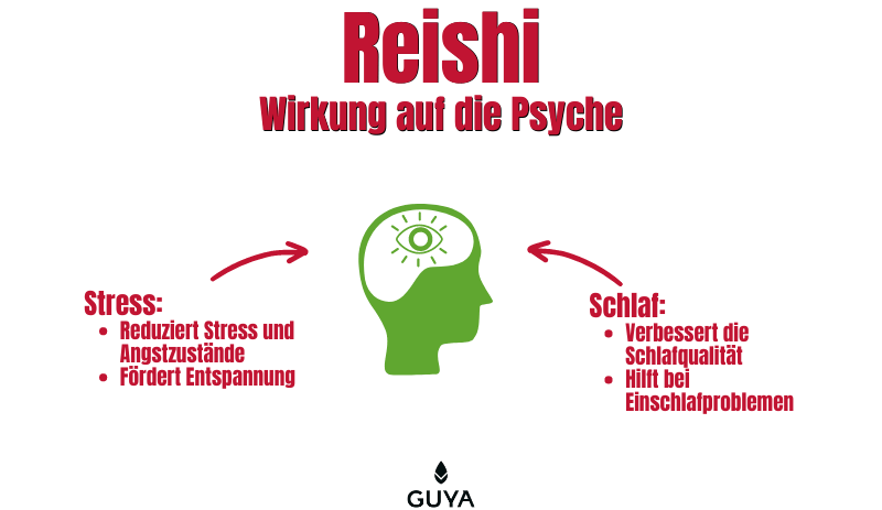 Reishi Wirkung auf die Psyche