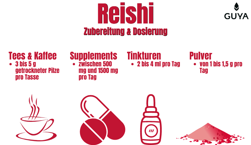 Reishi Zubereitung und Dosierung