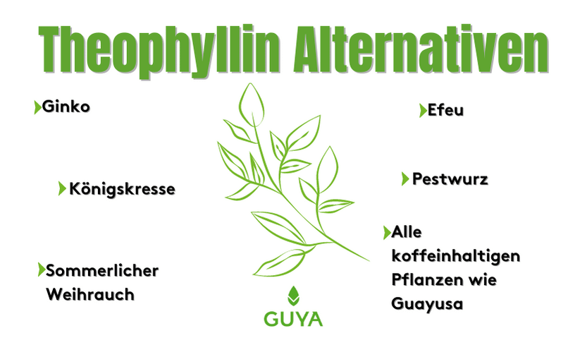 Theophylline alternative