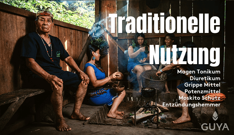 Waysa traditionelle Nutzung