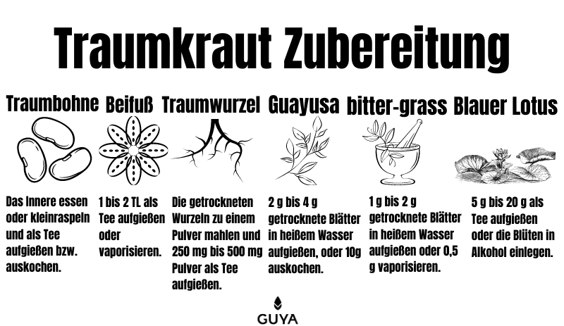 Traumkräuter Zubereitung und Dosierung