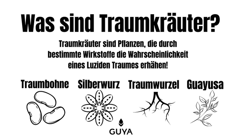 Traumkräuter – das beste Traumkraut