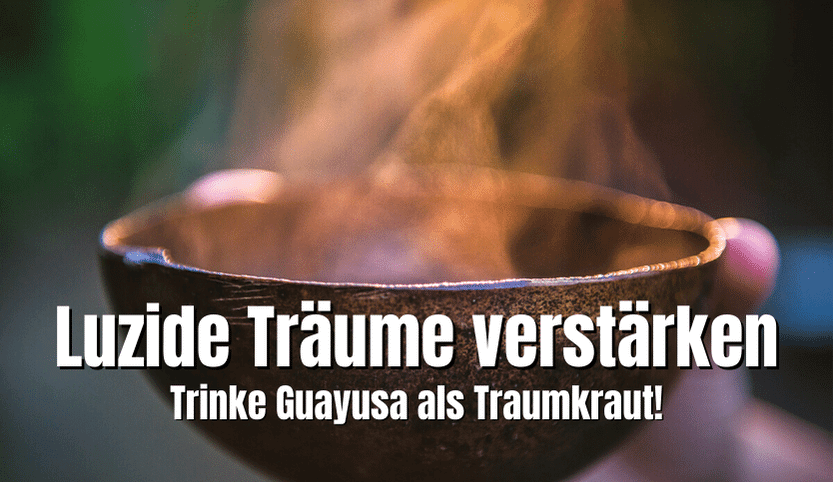 Traumkraut Guayusa