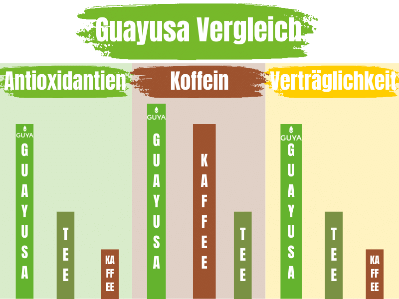 Guayusa Tea comparing with coffee and green tea has more health benefits