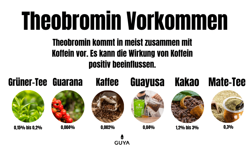 Occurrence of theobromine in cocoa, Guayusa, guarana, mate, coffee