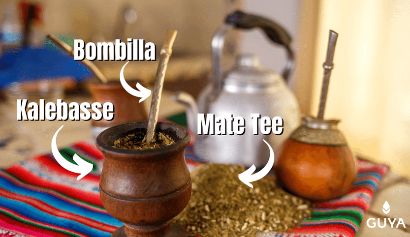 Was ist Yerba Mate?