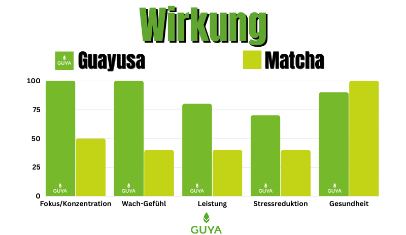 Wirkung Matcha VS Guayusa gesündester Tee