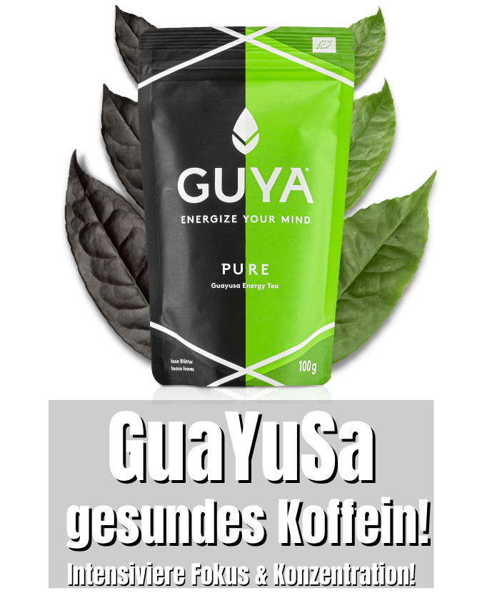 Guayusa und Vitalpilze für mehr Konzentration und Fokus