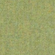 021 Nettle image