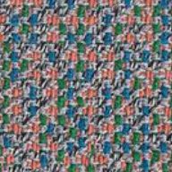 22 Papillon image