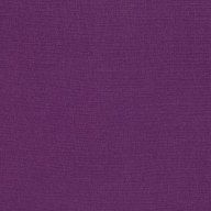 2494-157-crocus image