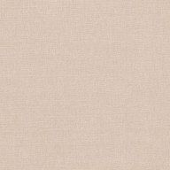 2494-243-buff image