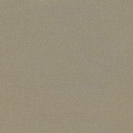 2494-313-caper image
