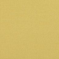2494-383-dandelion image