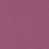 2494-413-currant image