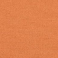 2494/430 Pumpkin image