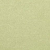 2494-471-chicory image