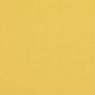 2494/512 Canary image