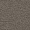 01003 image