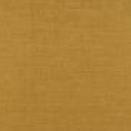 Indian Gold 12082 1005905 image
