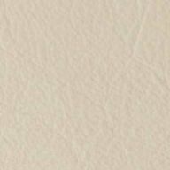 Ivory image