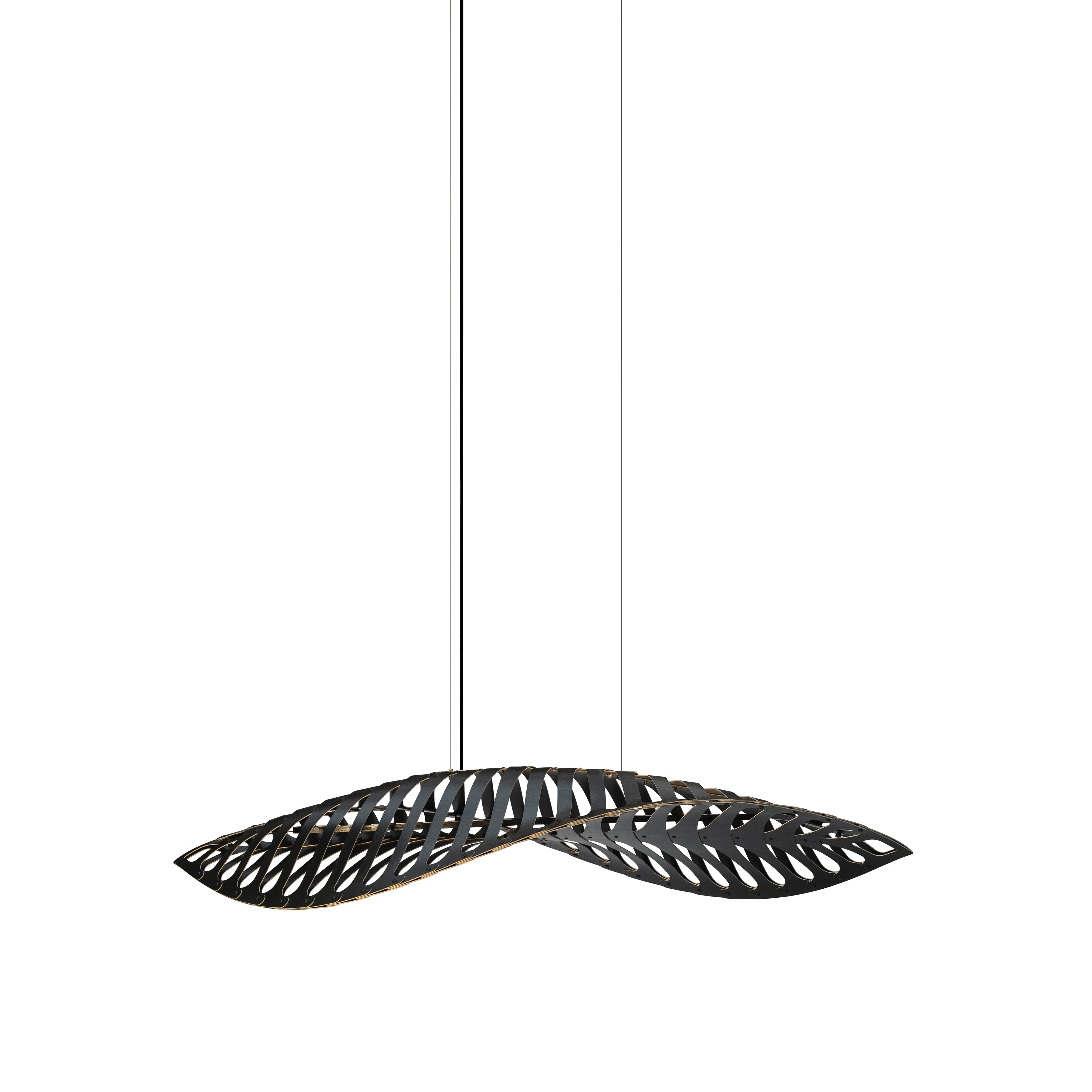 Navicula Pendant Light