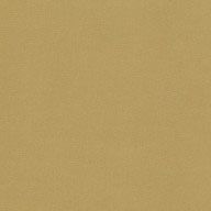 V3078-51-gold image