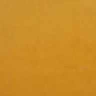 5 Yellow 47 image