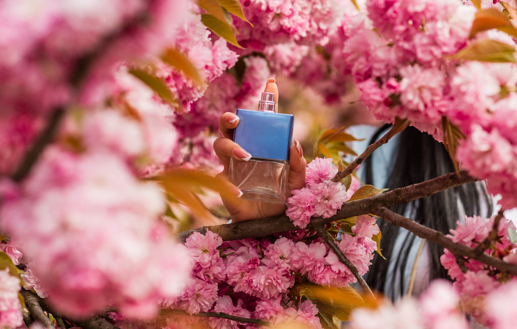 bouteille de parfum dans un cerisier