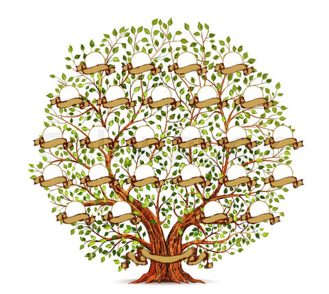 family tree diagram