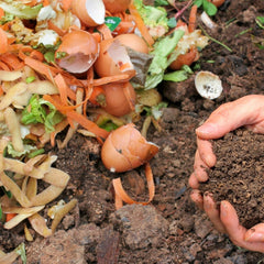 hands and compost