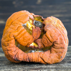 Rotting jack-o-lantern