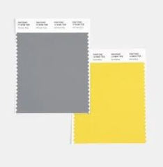 Pantone color swatches 17-5104 Ultimate Gray and 13-0647 Illuminating