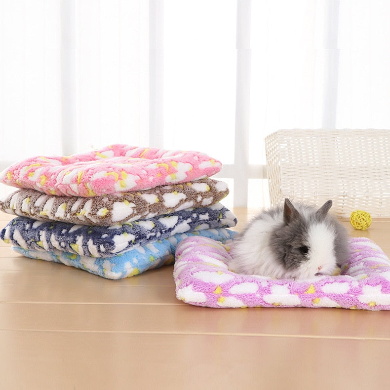 chinchilla bed