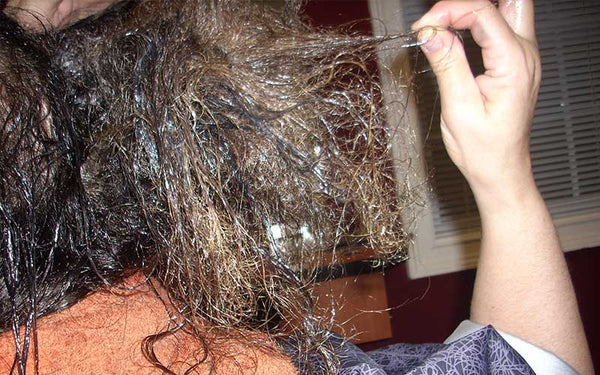 How to Untangle Severely Matted Hair | Detangle Biracial & Caucasian Hair –  KizaiaCare Pro™